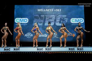 WELLNESS +163